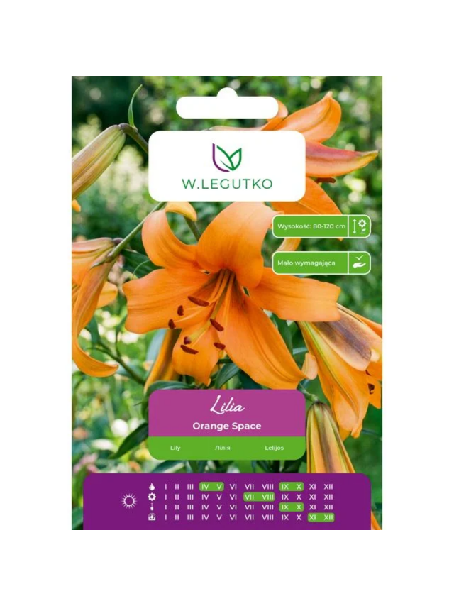 Lilia Orange Space pomarańczowa 1szt.