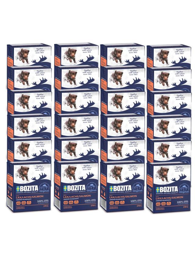 BOZITA Dog: Łosoś w galarecie 24x370g