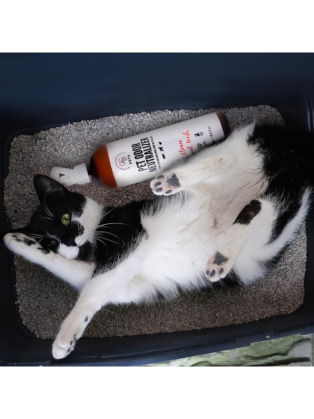 PET ODOR NEUTRALIZER_ Odplamiacz i Neutralizator zapachu moczu 500ml