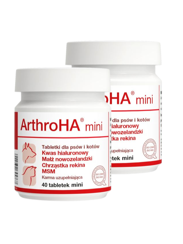 Dolfos ArthroHA mini  - preparat wspomagający leczenie schorzeń stawów 2x40 tab.