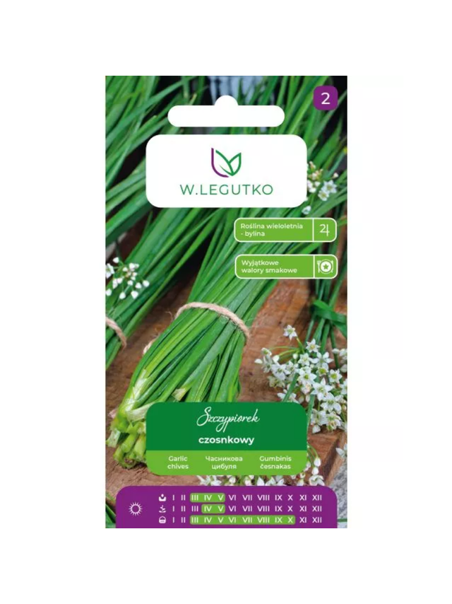 Szczypiorek czosnkowy