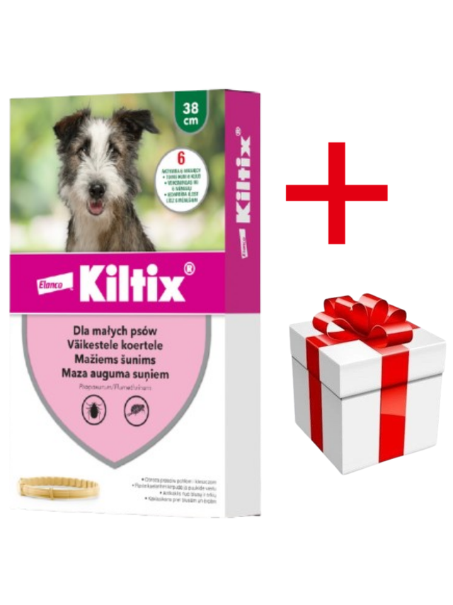 Kiltix Obroża dla małych psów 38cm + niespodzianka dla psa GRATIS!