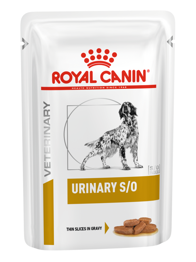 ROYAL CANIN Urinary S/O 12x100g dla psa