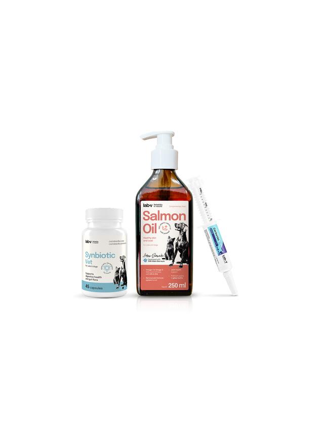 Lab-v Pet Care Box MINI - Zestaw prezentowy dla psa