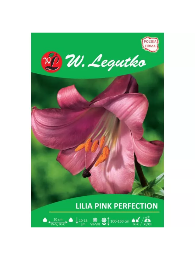 Lilia Pink Perfection różowa 1szt.