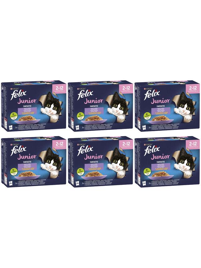 FELIX Fantastic Junior w galaretce; 72x85g