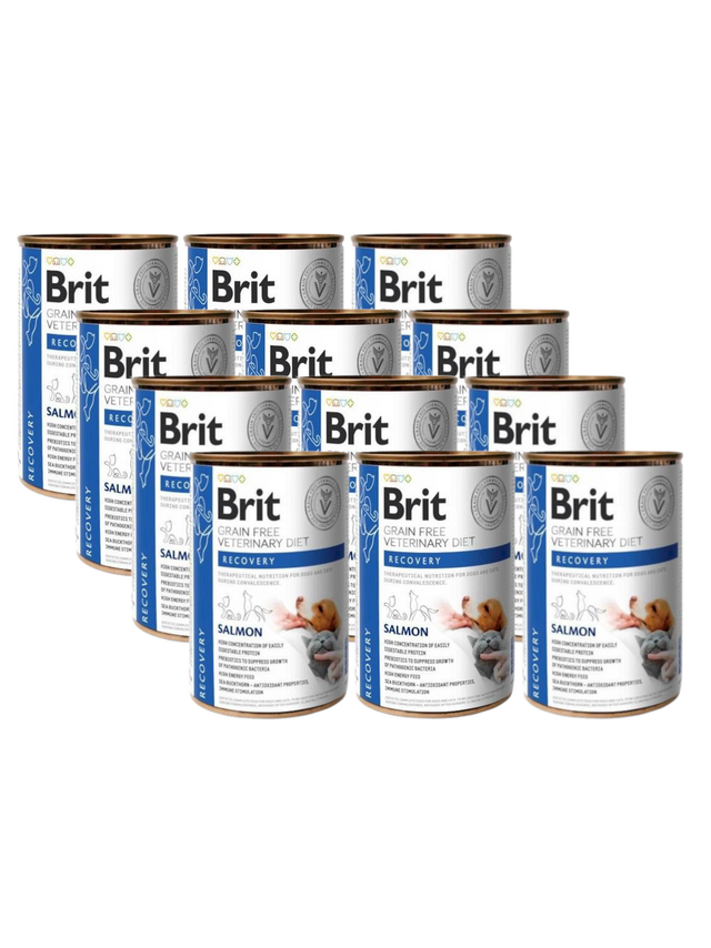 BRIT GF Veterinary Diets Recovery Salmon 12x400g - karma mokra dla psa i kota