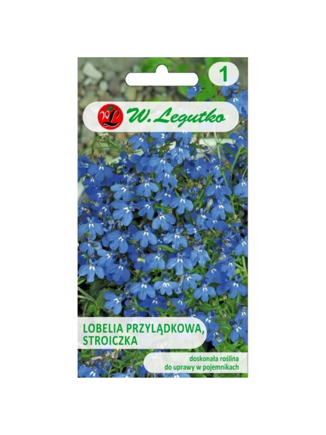 Lobelia przylądkowa, Stroiczka - niebieska