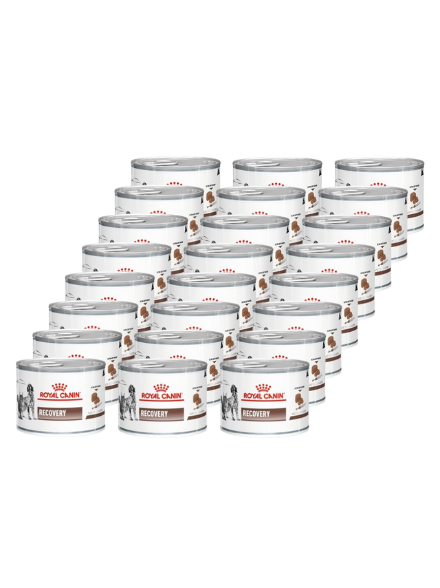 ROYAL CANIN Recovery 24x195g puszka
