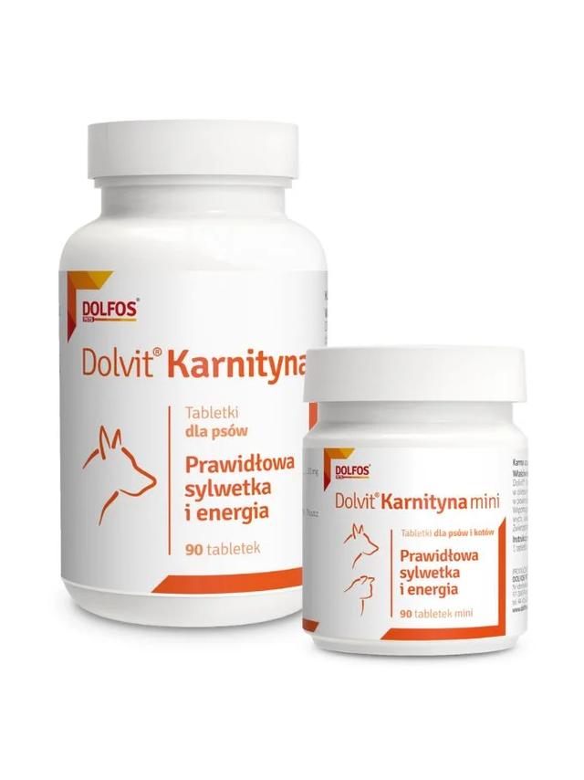 Dolvit Karnityna 90 tabletek