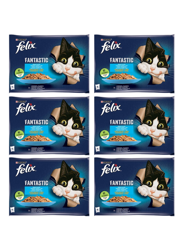FELIX Rybne Smaki w galaretce z łososiem i gładzicą  12x(4x85g)