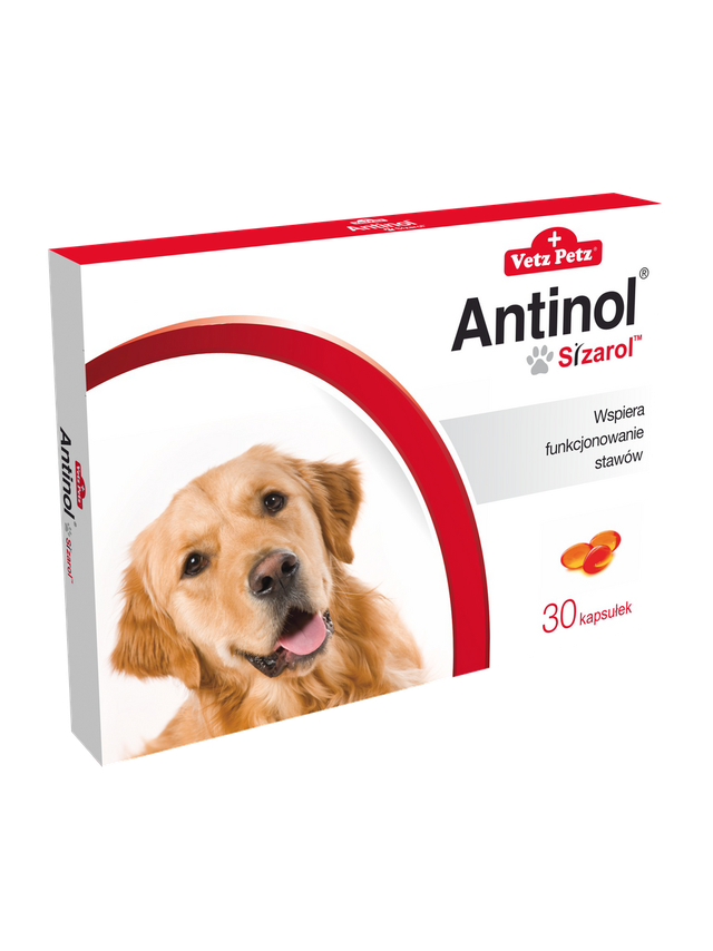 BIOVICO ANTINOL SIZAROL PIES 30 kapsułek NA STAWY