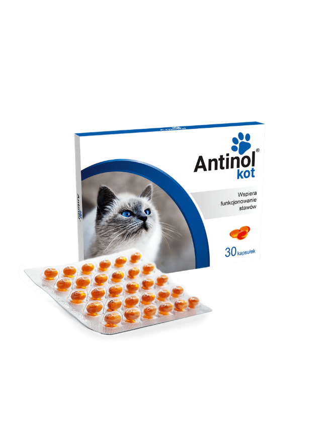 ANTINOL KOT 30 KAPSUŁEK