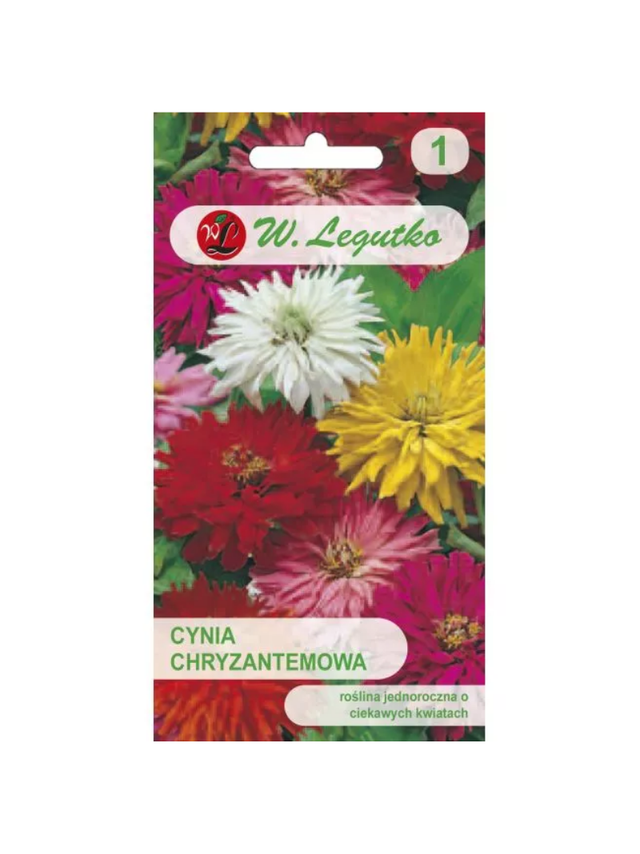 Cynia wytworna chryzantemowa mieszanka