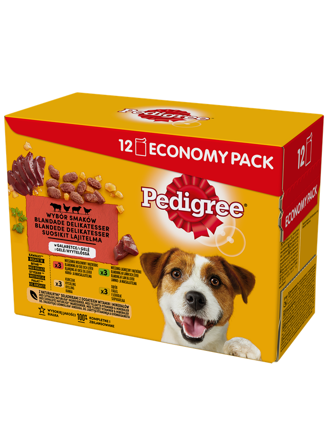 PEDIGREE Adult saszetka 12x100 g - Wybór Smaków w Galaretce, mokra karma pełnoporcjowa w galaretce dla dorosłych psów (kawałki bogate w mieszankę wołowiny i wątróbki, bogate w kurczaka, bogate w mieszankę jagnięciny i wątróbki oraz bogate w drób)
