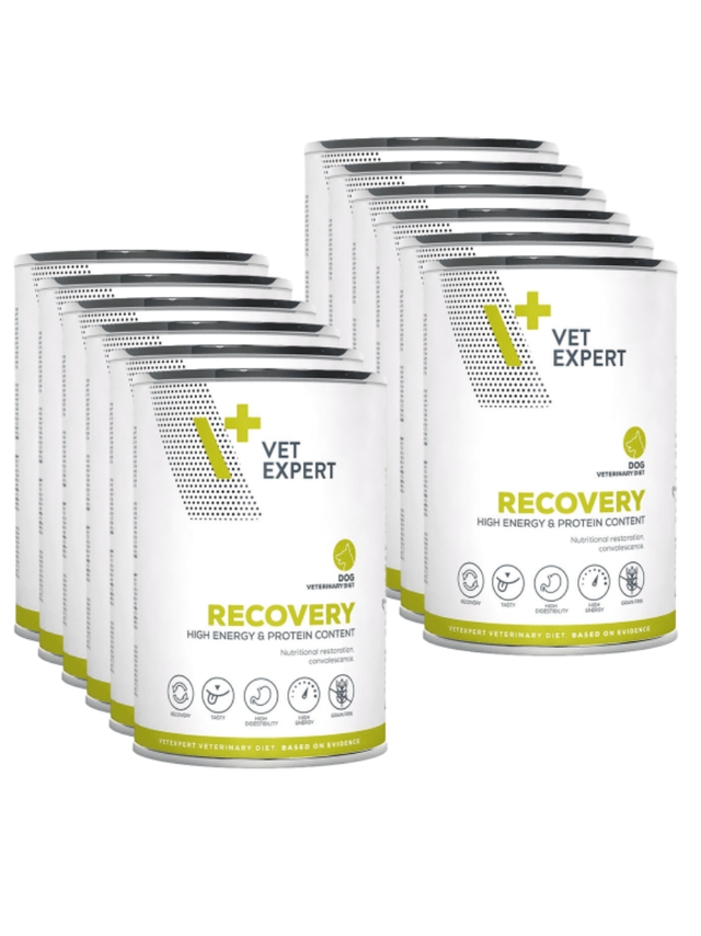 VETEXPERT Dog Diet Recovery 12x400g