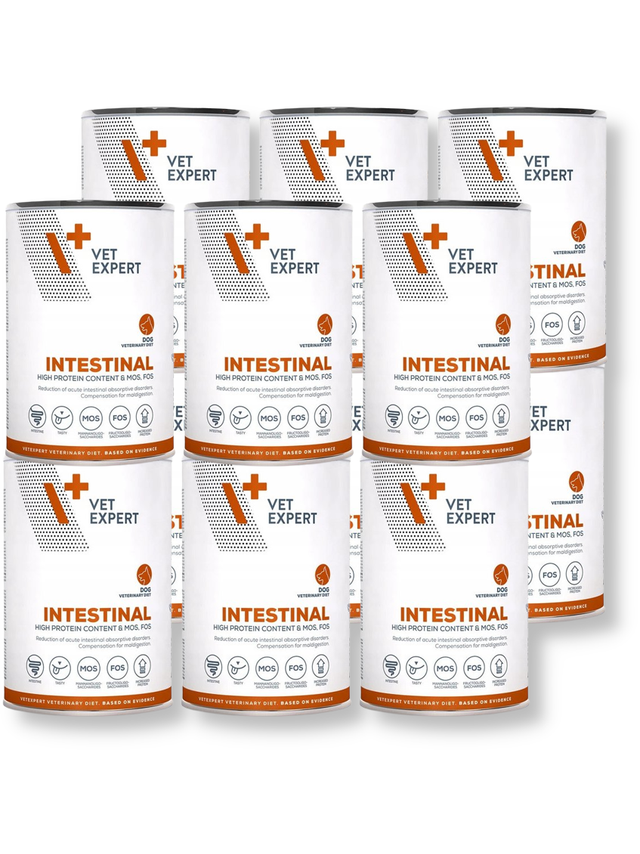 VETEXPERT Intestinal Dog 12x400g