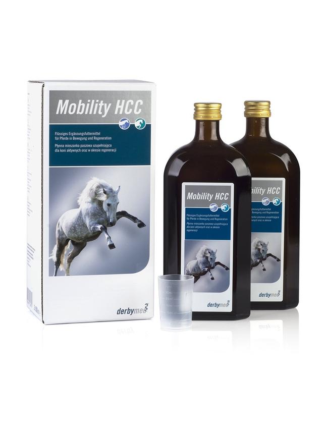 LIVISTO Derbymed Mobility HCC 2x500ml