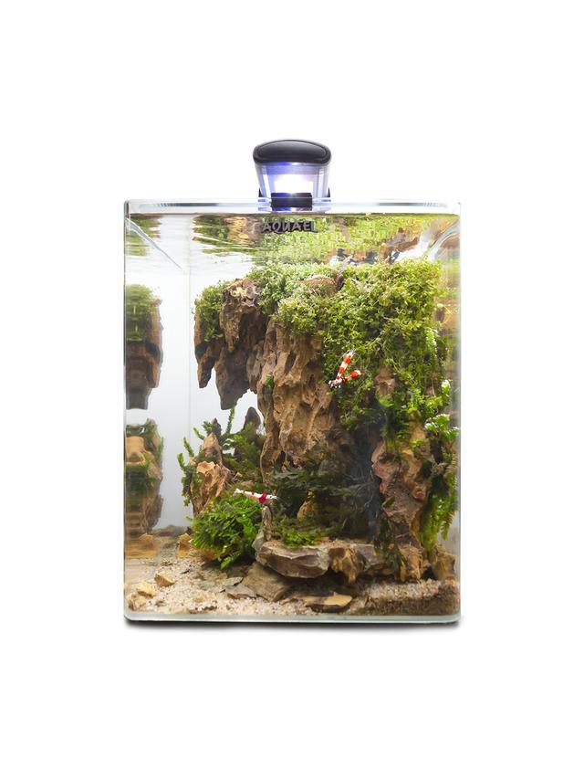 AQUAEL Zestaw Aquael Opti Bent Set Day & Night [20l] - czarny