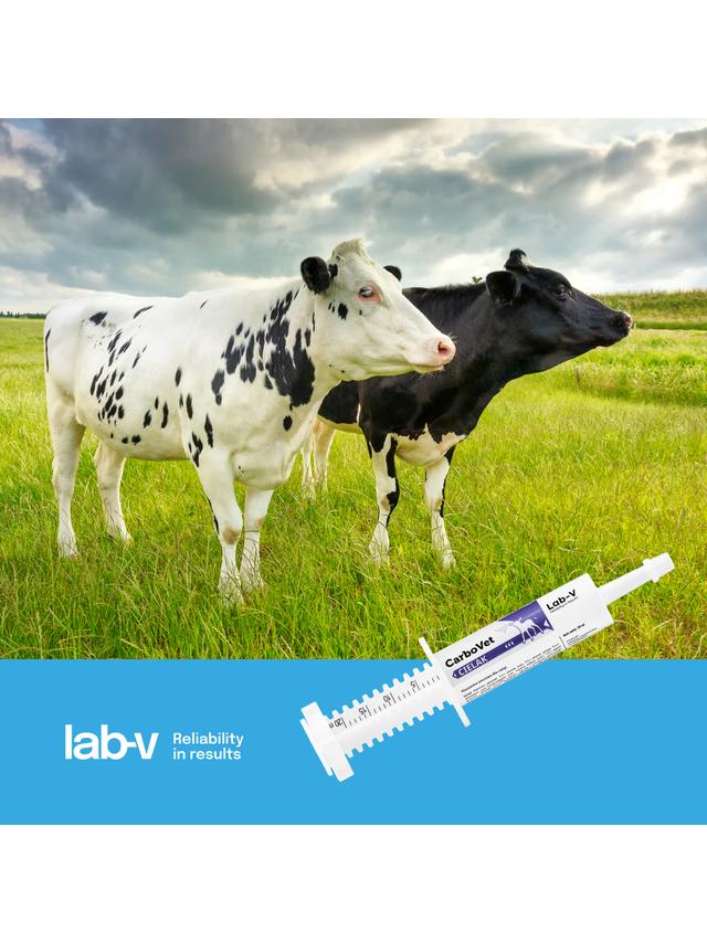 Lab-v CarboVet Cielak - Preparat do usuwania toksyn z organizmu dla cieląt 20 ml