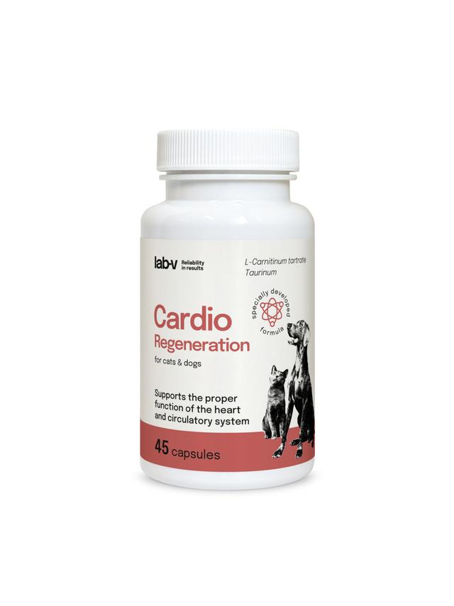 Lab-v Cardio Regeneration – Wsparcie prawidłowego funkcjonowania pracy serca i układu krążenia dla psów i kotów 45 kapsułek
