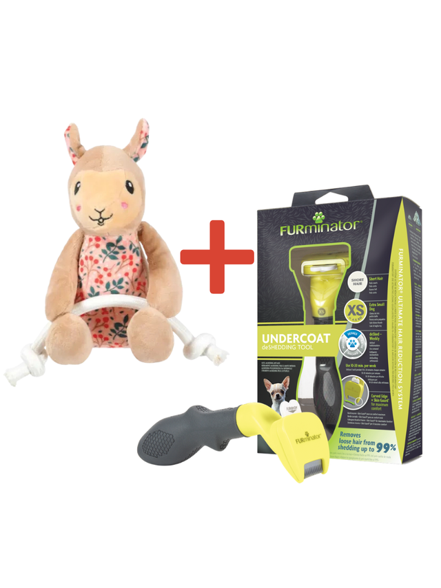 FURMINATOR dla psów krótkowłosych - Toy Dog XS + Zabawka dla psa GRATIS!