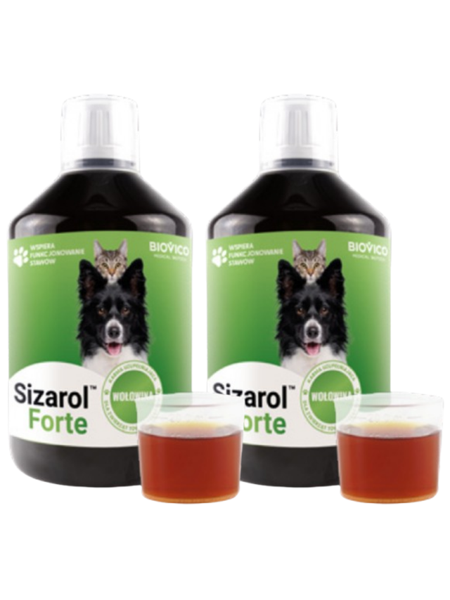 BIOVICO Sizarol Complex Forte 2x500ml