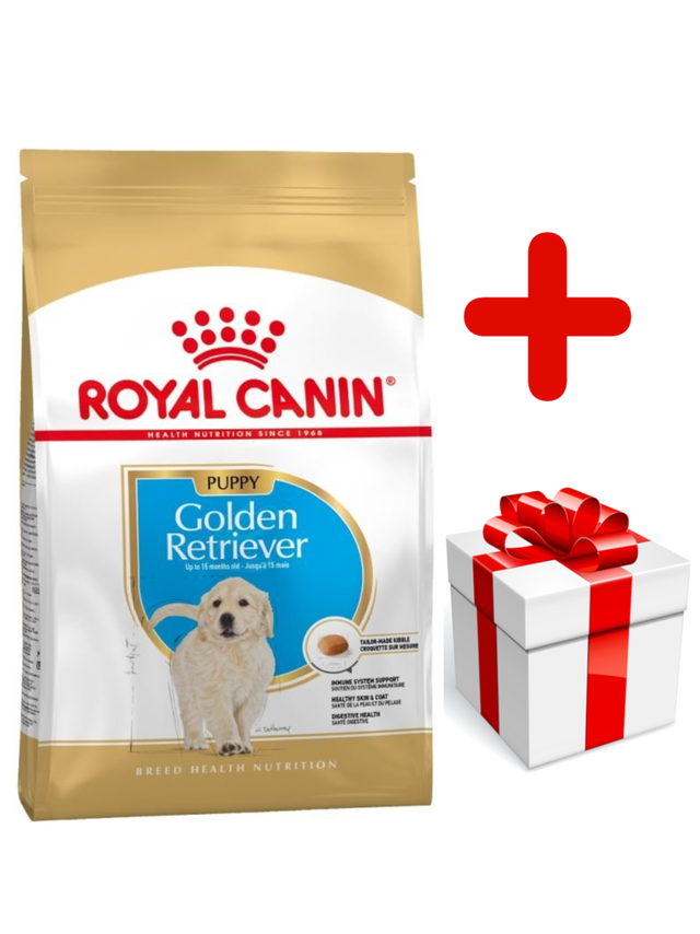 ROYAL CANIN Golden Retriever Puppy 12kg +  niespodzianka dla psa GRATIS!