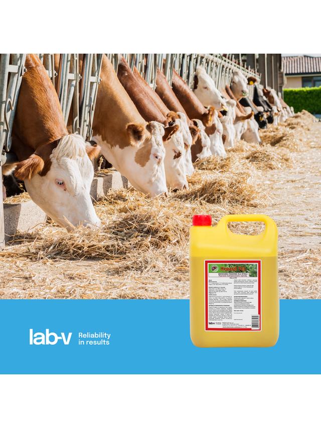 Lab-v Hepasil Vet Dla Bydła - Mieszanka Paszowa Dla Bydła Na Poprawę Funkcjonowania Wątroby 5kg