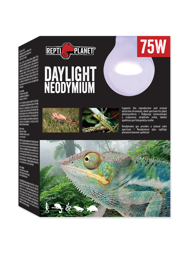 RP Żarówka  Daylight Neodymium 75W