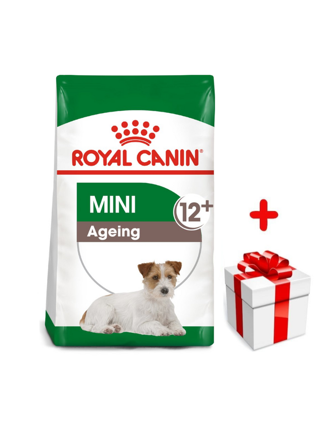 ROYAL CANIN Mini Ageing 12+ 1,5kg karma sucha dla psów dojrzałych po 12 roku życia, ras małych + niespodzianka dla psa GRATIS