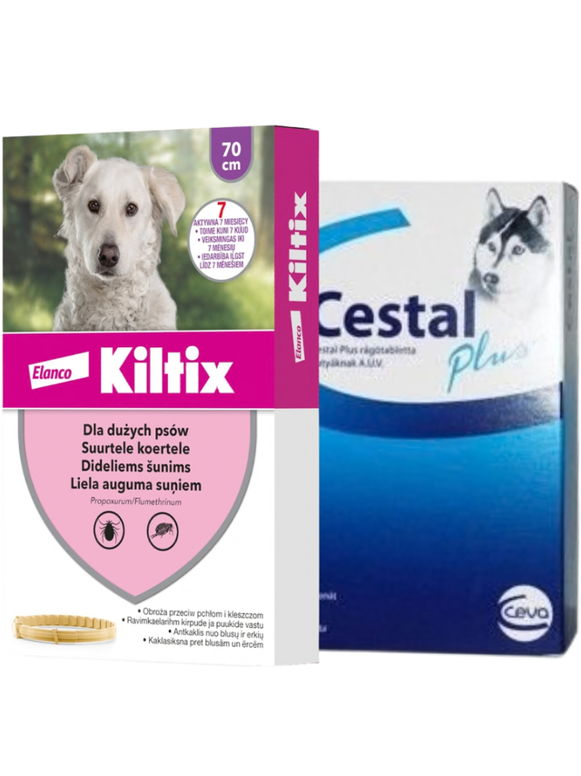 Kiltix Obroża dla psów dużych dł, 70cm+ Cestal Dog Plus tabletki na odrobaczanie psów 2 sztuki