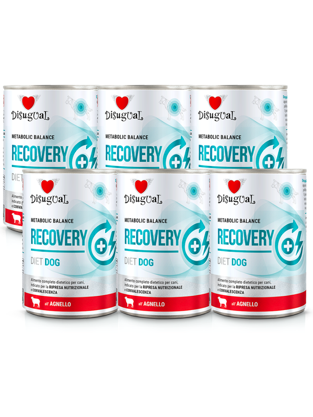 Disugual Karma mokra dla psa Weterynaryjna RECOVERY Jagnięcina (dorosły) 6x400g