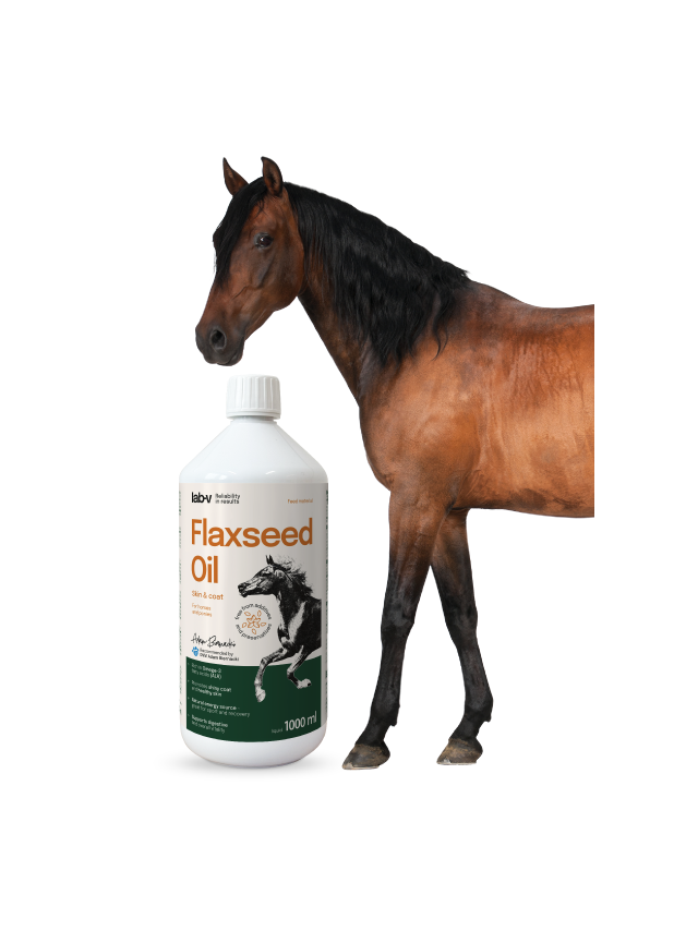 Lab-v Flaxseed Oil – 100% olej lniany tłoczony na zimno dla koni 1000 ml
