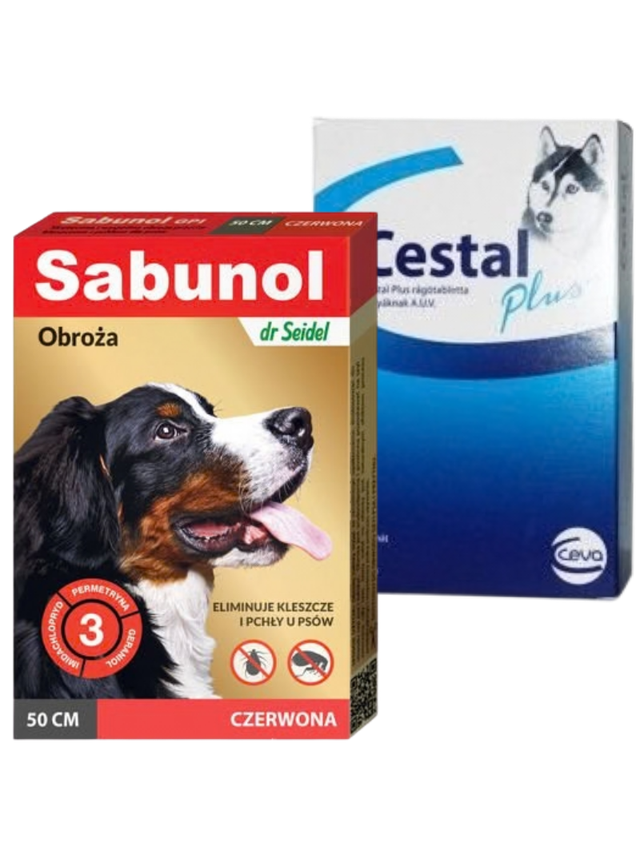 Sabunol czerwona obroża przeciw pchłom i kleszczom dla psa 50 cm+Cestal Dog Plus tabletki na odrobaczanie psów 2 sztuki