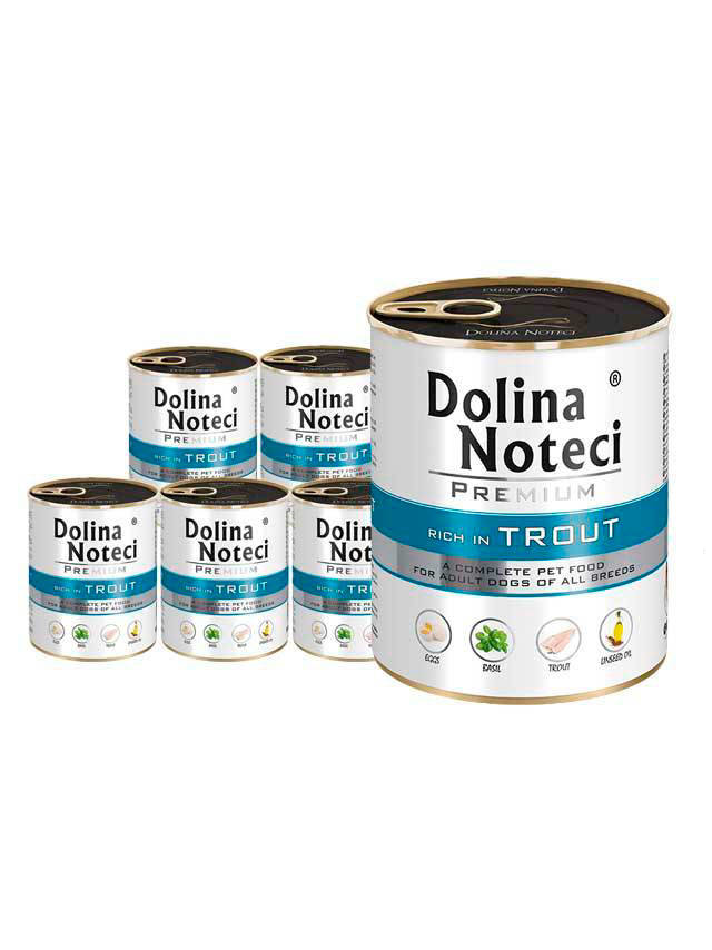 Dolina Noteci Premium Pstrąg 24x800g