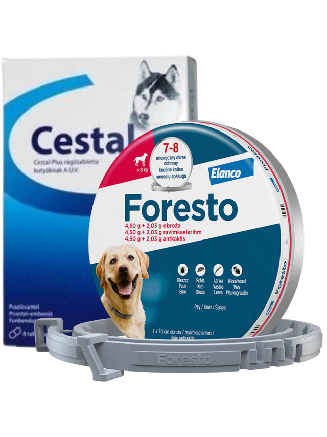 ELANCO Foresto Obroża dla psów powyżej 8kg+ Cestal Dog Plus tabletki na odrobaczanie psów 2 sztuki
