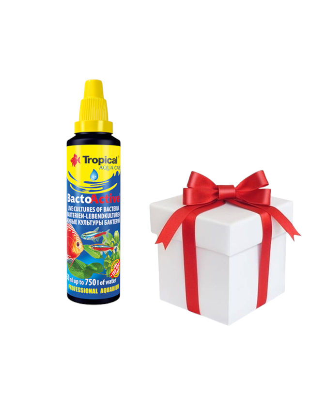 TROPICAL Bacto-Active 100ml + próbka karmy dla rybek Tropical