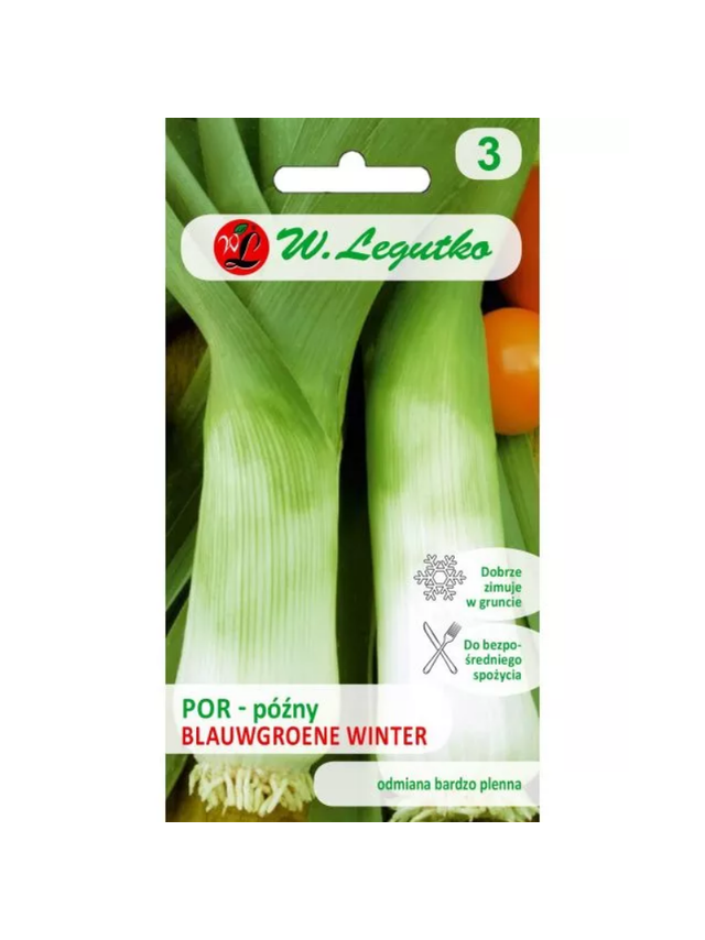 Por Blauwgroene Winter - późna