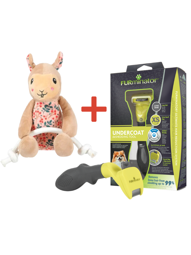 FURMINATOR dla psów długowłosych - Toy Dog XS + Zabawka dla psa GRATIS!