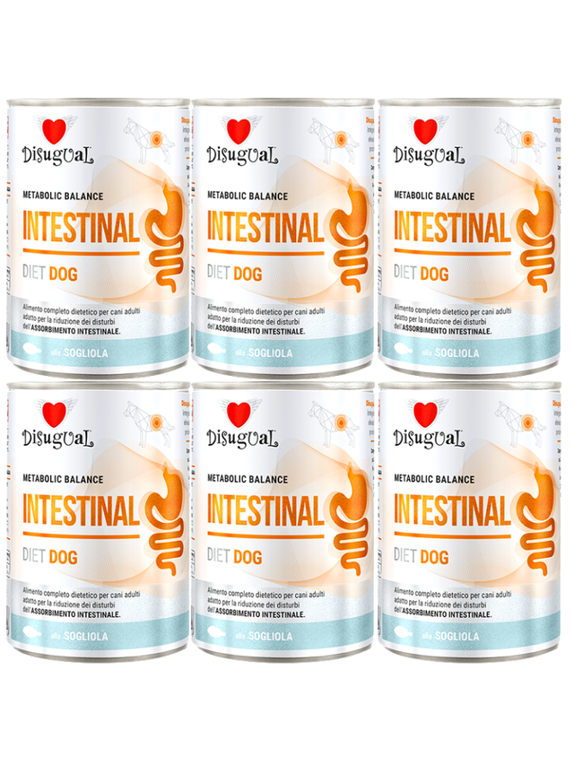 Disugual Karma mokra dla psa Weterynaryjna INTESTINAL Sola (dorosły) 6x400g