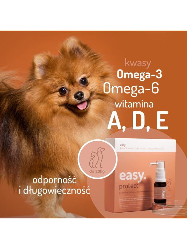 Easy. Olej konopny dla psów i kotów Protect do 20kg
