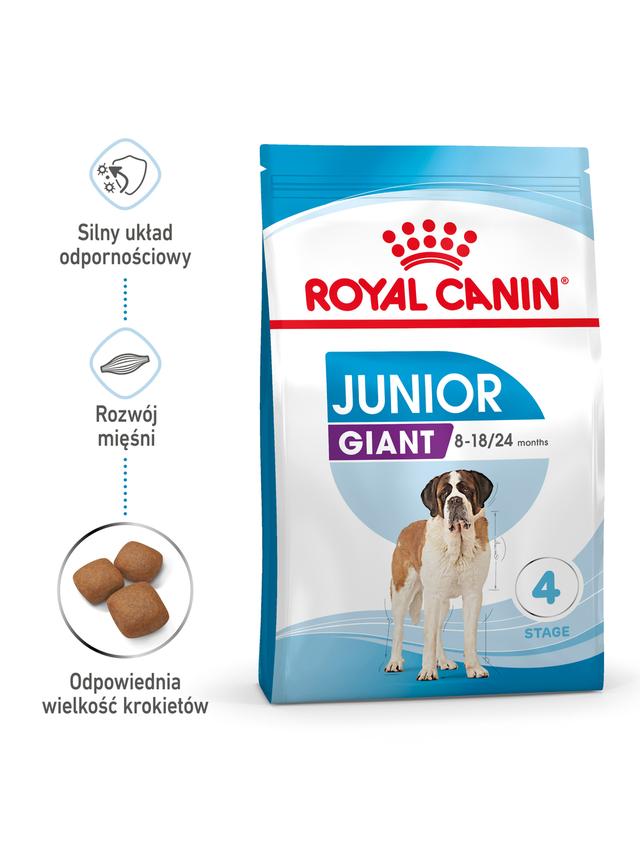 ROYAL CANIN Giant Junior 15kg karma sucha dla szczeniąt  od 8 do 18/24 miesiąca życia, ras olbrzymich