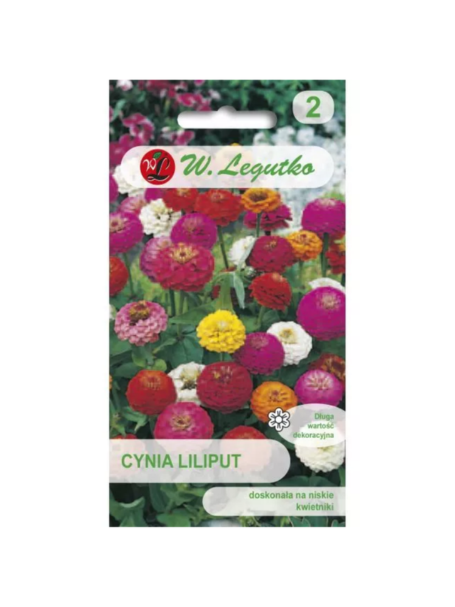 Cynia wytworna Liliput mieszanka