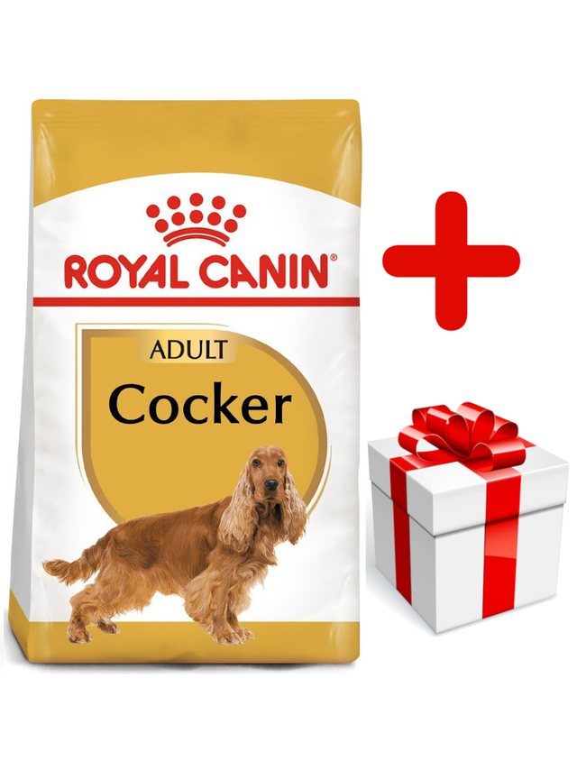 ROYAL CANIN Cocker Spaniel Adult 12kg karma sucha dla psów dorosłych rasy cocker spaniel + niespodzianka dla psa GRATIS!