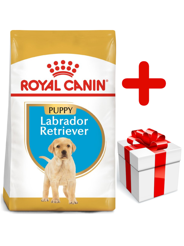 ROYAL CANIN Labrador Retriever Puppy 12kg + niespodzianka dla psa GRATIS!