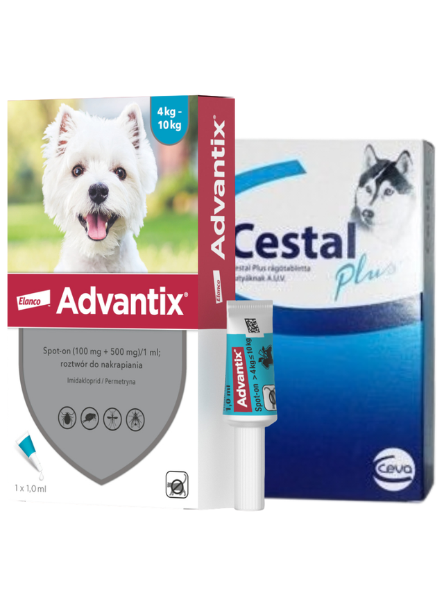 Advantix dla psów 4-10kg (pipeta 1ml)+ Cestal Dog Plus tabletki na odrobaczanie psów 2 sztuki