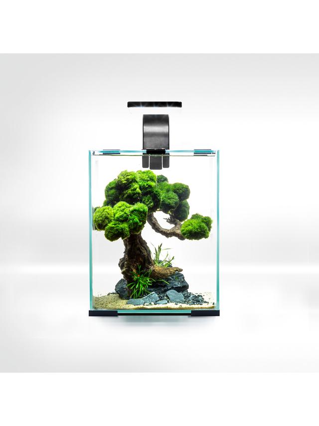 AQUAEL Zestaw Aquael Shrimp Set Smart Day & Night [10l] - czarny