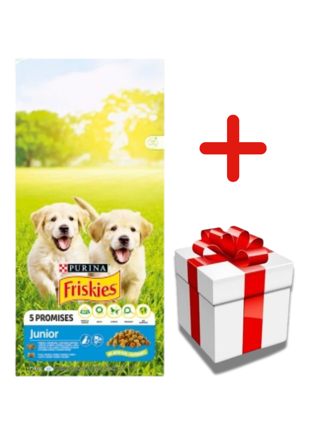 PURINA Friskies Junior 15kg + NIESPODZIANKA DLA PSA GRATIS!!