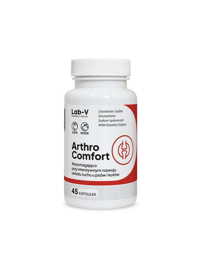 Lab-v Arthro Comfort – Kompleksowe wsparcie zdrowia stawów oraz układu ruchu dla psów i kotów 45 kapsułek